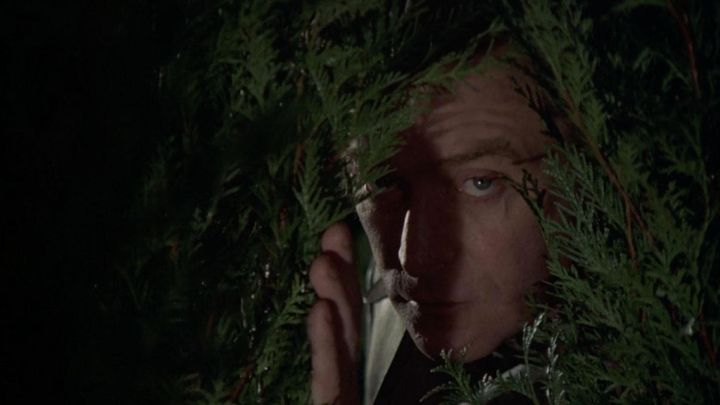 Michael Caine peering through a shrub.